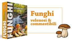 Presentazione del libro: Funghi Velenosi e Commestibili [pdf]